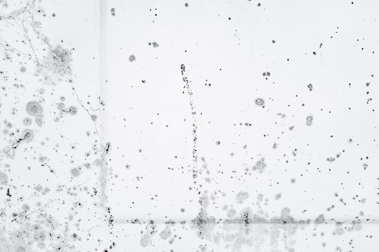 walls